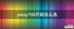yeezy700尺码怎么选