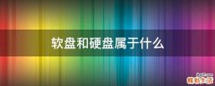 软盘和硬盘属于什么