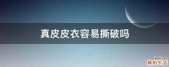真皮皮衣容易撕破吗