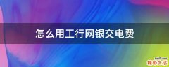 怎么用工行网银交电费