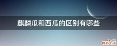 麒麟瓜和西瓜的区别有哪些