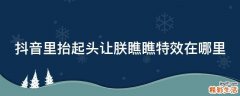 抖音里抬起头让朕瞧瞧特效在哪里