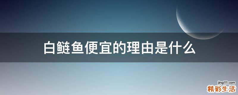 白鲢鱼便宜的理由是什么