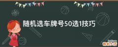 随机选车牌号50选1技巧