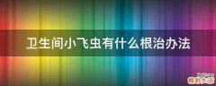 卫生间小飞虫有什么根治办法