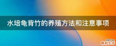 水培龟背竹的养殖方法和注意事项