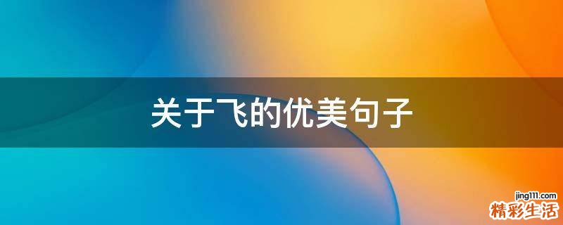 关于飞的优美句子