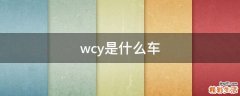 wcy是什么车