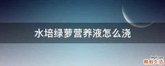 水培绿萝营养液怎么浇