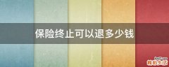 保险终止可以退多少钱
