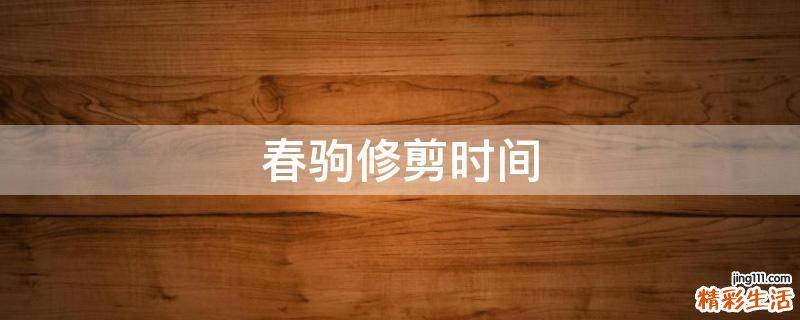 春驹修剪时间