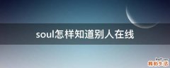 soul怎样知道别人在线
