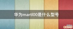 华为martl00是什么型号