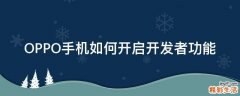 OPPO手机如何开启开发者功能