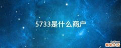5733是什么商户