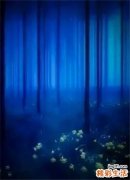 后背疼按摩什么穴位