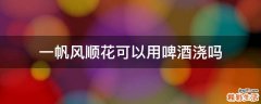 一帆风顺花可以用啤酒浇吗