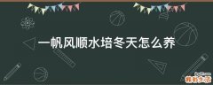 一帆风顺水培冬天怎么养