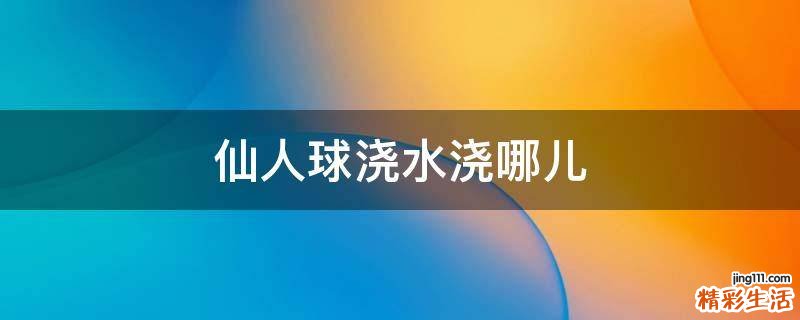 仙人球浇水浇哪儿