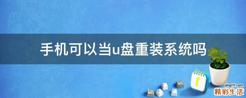 手机可以当u盘重装系统吗