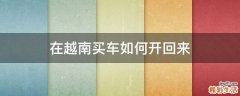 在越南买车如何开回来