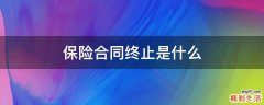 保险合同终止是什么