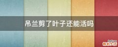 吊兰剪了叶子还能活吗