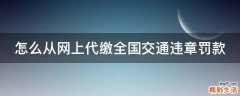 怎么从网上代缴全国交通违章罚款