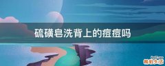 硫磺皂洗背上的痘痘吗
