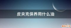 皮夹克保养用什么油