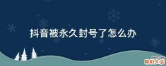 抖音被永久封號(hào)了怎么辦