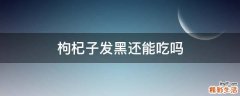 枸杞子发黑还能吃吗