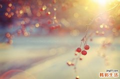 OL身體五大特區(qū)養(yǎng)生保健秘方