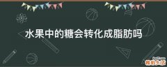 水果中的糖会转化成脂肪吗