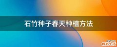 石竹种子春天种植方法
