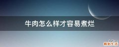牛肉怎么样才容易煮烂