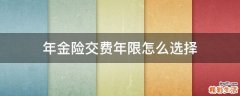 年金险交费年限怎么选择