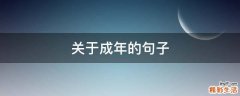 关于成年的句子