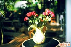 怀孕能吃泥鳅吗