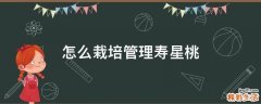 怎么栽培管理寿星桃