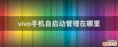 vivo手机自启动管理在哪里