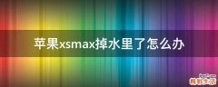苹果xsmax掉水里了怎么办