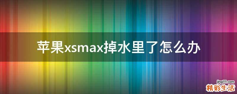 苹果xsmax掉水里了怎么办