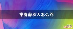 常春藤秋天怎么养