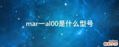 mar一al00是什么型号
