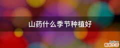 山药什么季节种植好