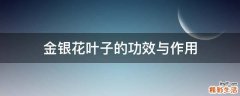 金银花叶子的功效与作用