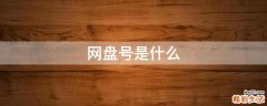 网盘号是什么