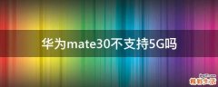 华为mate30不支持5G吗
