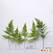 2 格子间上班族的身体养护八大法则